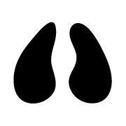 Illustration d'un pied de vache